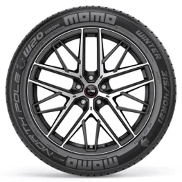 225/55 R18 102V XL North Pole W-20 Yüksek Performans Kış Lastiği (2026 Üretim)